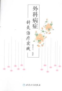 外科病症针灸治疗实践PDF电子书下载中医教学-中医资料-中医医案-中医针灸-古籍珍本-中医基础-中医经典-中医-名家学术-中医男科-疾病专治-经方论治-名族医药-中医方剂-中药本草-中医拔罐-中医刮痧-推拿按摩-中医内科-中西结合-中医妇科-中医皮肤-中医医话-中医外科-中医儿科-中医儿科-海外中医-特色疗法-中医骨伤-中医四诊-中医养生阁