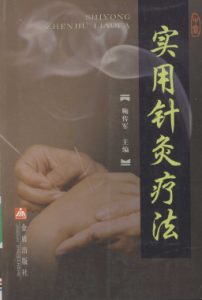 实用针灸疗法PDF电子书下载中医教学-中医资料-中医医案-中医针灸-古籍珍本-中医基础-中医经典-中医-名家学术-中医男科-疾病专治-经方论治-名族医药-中医方剂-中药本草-中医拔罐-中医刮痧-推拿按摩-中医内科-中西结合-中医妇科-中医皮肤-中医医话-中医外科-中医儿科-中医儿科-海外中医-特色疗法-中医骨伤-中医四诊-中医养生阁