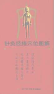 针灸经络穴位图解PDF电子书下载中医教学-中医资料-中医医案-中医针灸-古籍珍本-中医基础-中医经典-中医-名家学术-中医男科-疾病专治-经方论治-名族医药-中医方剂-中药本草-中医拔罐-中医刮痧-推拿按摩-中医内科-中西结合-中医妇科-中医皮肤-中医医话-中医外科-中医儿科-中医儿科-海外中医-特色疗法-中医骨伤-中医四诊-中医养生阁