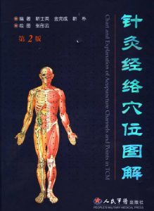 针灸经络穴位图解PDF电子书下载中医教学-中医资料-中医医案-中医针灸-古籍珍本-中医基础-中医经典-中医-名家学术-中医男科-疾病专治-经方论治-名族医药-中医方剂-中药本草-中医拔罐-中医刮痧-推拿按摩-中医内科-中西结合-中医妇科-中医皮肤-中医医话-中医外科-中医儿科-中医儿科-海外中医-特色疗法-中医骨伤-中医四诊-中医养生阁