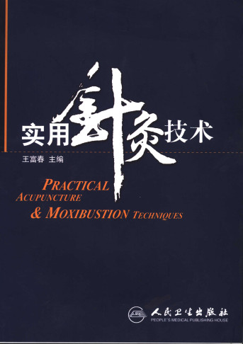 实用针灸技术PDF电子书下载中医教学-中医资料-中医医案-中医针灸-古籍珍本-中医基础-中医经典-中医-名家学术-中医男科-疾病专治-经方论治-名族医药-中医方剂-中药本草-中医拔罐-中医刮痧-推拿按摩-中医内科-中西结合-中医妇科-中医皮肤-中医医话-中医外科-中医儿科-中医儿科-海外中医-特色疗法-中医骨伤-中医四诊-中医养生阁