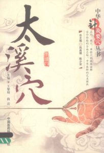 中华针灸要穴丛书 太溪穴PDF电子书下载中医教学-中医资料-中医医案-中医针灸-古籍珍本-中医基础-中医经典-中医-名家学术-中医男科-疾病专治-经方论治-名族医药-中医方剂-中药本草-中医拔罐-中医刮痧-推拿按摩-中医内科-中西结合-中医妇科-中医皮肤-中医医话-中医外科-中医儿科-中医儿科-海外中医-特色疗法-中医骨伤-中医四诊-中医养生阁