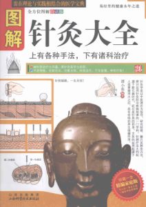 图解针灸大全精编家庭版PDF电子书下载中医教学-中医资料-中医医案-中医针灸-古籍珍本-中医基础-中医经典-中医-名家学术-中医男科-疾病专治-经方论治-名族医药-中医方剂-中药本草-中医拔罐-中医刮痧-推拿按摩-中医内科-中西结合-中医妇科-中医皮肤-中医医话-中医外科-中医儿科-中医儿科-海外中医-特色疗法-中医骨伤-中医四诊-中医养生阁