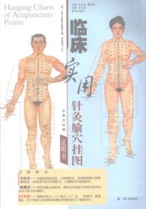 临床实用针灸腧穴挂图PDF电子书下载中医教学-中医资料-中医医案-中医针灸-古籍珍本-中医基础-中医经典-中医-名家学术-中医男科-疾病专治-经方论治-名族医药-中医方剂-中药本草-中医拔罐-中医刮痧-推拿按摩-中医内科-中西结合-中医妇科-中医皮肤-中医医话-中医外科-中医儿科-中医儿科-海外中医-特色疗法-中医骨伤-中医四诊-中医养生阁