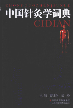 中国针灸学词典PDF电子书下载 - 中医养生阁中医教学-中医资料-中医医案-中医针灸-古籍珍本-中医基础-中医经典-中医-名家学术-中医男科-疾病专治-经方论治-名族医药-中医方剂-中药本草-中医拔罐-中医刮痧-推拿按摩-中医内科-中西结合-中医妇科-中医皮肤-中医医话-中医外科-中医儿科-中医儿科-海外中医-特色疗法-中医骨伤-中医四诊-中医养生阁
