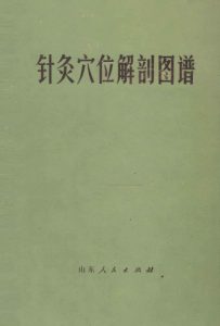 针灸穴位解剖图谱PDF电子书下载中医教学-中医资料-中医医案-中医针灸-古籍珍本-中医基础-中医经典-中医-名家学术-中医男科-疾病专治-经方论治-名族医药-中医方剂-中药本草-中医拔罐-中医刮痧-推拿按摩-中医内科-中西结合-中医妇科-中医皮肤-中医医话-中医外科-中医儿科-中医儿科-海外中医-特色疗法-中医骨伤-中医四诊-中医养生阁