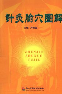 针灸腧穴图解PDF电子书下载中医教学-中医资料-中医医案-中医针灸-古籍珍本-中医基础-中医经典-中医-名家学术-中医男科-疾病专治-经方论治-名族医药-中医方剂-中药本草-中医拔罐-中医刮痧-推拿按摩-中医内科-中西结合-中医妇科-中医皮肤-中医医话-中医外科-中医儿科-中医儿科-海外中医-特色疗法-中医骨伤-中医四诊-中医养生阁