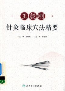 王毅刚针灸临床穴法精要PDF电子书下载中医教学-中医资料-中医医案-中医针灸-古籍珍本-中医基础-中医经典-中医-名家学术-中医男科-疾病专治-经方论治-名族医药-中医方剂-中药本草-中医拔罐-中医刮痧-推拿按摩-中医内科-中西结合-中医妇科-中医皮肤-中医医话-中医外科-中医儿科-中医儿科-海外中医-特色疗法-中医骨伤-中医四诊-中医养生阁
