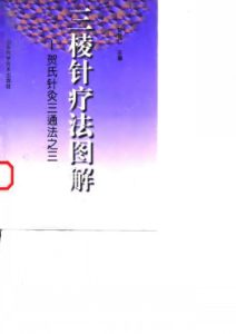 三棱针疗法图解 贺氏针灸三通法之三PDF电子书下载中医教学-中医资料-中医医案-中医针灸-古籍珍本-中医基础-中医经典-中医-名家学术-中医男科-疾病专治-经方论治-名族医药-中医方剂-中药本草-中医拔罐-中医刮痧-推拿按摩-中医内科-中西结合-中医妇科-中医皮肤-中医医话-中医外科-中医儿科-中医儿科-海外中医-特色疗法-中医骨伤-中医四诊-中医养生阁