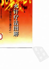 火针疗法图解 贺氏针灸三通法之一PDF电子书下载中医教学-中医资料-中医医案-中医针灸-古籍珍本-中医基础-中医经典-中医-名家学术-中医男科-疾病专治-经方论治-名族医药-中医方剂-中药本草-中医拔罐-中医刮痧-推拿按摩-中医内科-中西结合-中医妇科-中医皮肤-中医医话-中医外科-中医儿科-中医儿科-海外中医-特色疗法-中医骨伤-中医四诊-中医养生阁