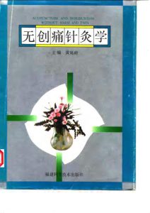 无创痛针灸学PDF电子书下载中医教学-中医资料-中医医案-中医针灸-古籍珍本-中医基础-中医经典-中医-名家学术-中医男科-疾病专治-经方论治-名族医药-中医方剂-中药本草-中医拔罐-中医刮痧-推拿按摩-中医内科-中西结合-中医妇科-中医皮肤-中医医话-中医外科-中医儿科-中医儿科-海外中医-特色疗法-中医骨伤-中医四诊-中医养生阁