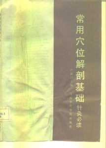 常用穴位解剖基础（针灸必读）PDF电子书下载中医教学-中医资料-中医医案-中医针灸-古籍珍本-中医基础-中医经典-中医-名家学术-中医男科-疾病专治-经方论治-名族医药-中医方剂-中药本草-中医拔罐-中医刮痧-推拿按摩-中医内科-中西结合-中医妇科-中医皮肤-中医医话-中医外科-中医儿科-中医儿科-海外中医-特色疗法-中医骨伤-中医四诊-中医养生阁