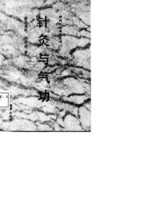 针灸与气功PDF电子书下载中医教学-中医资料-中医医案-中医针灸-古籍珍本-中医基础-中医经典-中医-名家学术-中医男科-疾病专治-经方论治-名族医药-中医方剂-中药本草-中医拔罐-中医刮痧-推拿按摩-中医内科-中西结合-中医妇科-中医皮肤-中医医话-中医外科-中医儿科-中医儿科-海外中医-特色疗法-中医骨伤-中医四诊-中医养生阁