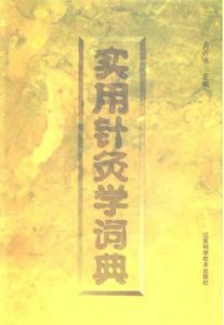 实用针灸学词典PDF电子书下载中医教学-中医资料-中医医案-中医针灸-古籍珍本-中医基础-中医经典-中医-名家学术-中医男科-疾病专治-经方论治-名族医药-中医方剂-中药本草-中医拔罐-中医刮痧-推拿按摩-中医内科-中西结合-中医妇科-中医皮肤-中医医话-中医外科-中医儿科-中医儿科-海外中医-特色疗法-中医骨伤-中医四诊-中医养生阁