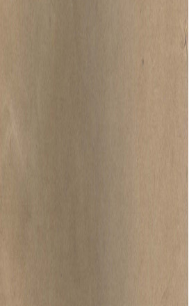 针灸大成 五卷PDF电子书下载 - 中医养生阁中医教学-中医资料-中医医案-中医针灸-古籍珍本-中医基础-中医经典-中医-名家学术-中医男科-疾病专治-经方论治-名族医药-中医方剂-中药本草-中医拔罐-中医刮痧-推拿按摩-中医内科-中西结合-中医妇科-中医皮肤-中医医话-中医外科-中医儿科-中医儿科-海外中医-特色疗法-中医骨伤-中医四诊-中医养生阁