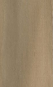 针灸大成 七卷PDF电子书下载中医教学-中医资料-中医医案-中医针灸-古籍珍本-中医基础-中医经典-中医-名家学术-中医男科-疾病专治-经方论治-名族医药-中医方剂-中药本草-中医拔罐-中医刮痧-推拿按摩-中医内科-中西结合-中医妇科-中医皮肤-中医医话-中医外科-中医儿科-中医儿科-海外中医-特色疗法-中医骨伤-中医四诊-中医养生阁