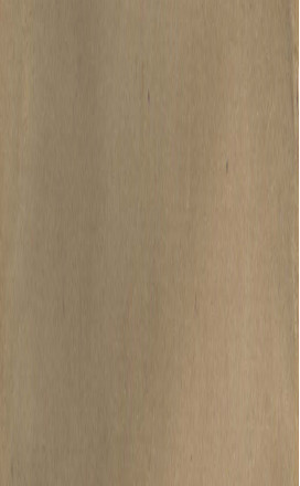 针灸大成 七卷PDF电子书下载 - 中医养生阁中医教学-中医资料-中医医案-中医针灸-古籍珍本-中医基础-中医经典-中医-名家学术-中医男科-疾病专治-经方论治-名族医药-中医方剂-中药本草-中医拔罐-中医刮痧-推拿按摩-中医内科-中西结合-中医妇科-中医皮肤-中医医话-中医外科-中医儿科-中医儿科-海外中医-特色疗法-中医骨伤-中医四诊-中医养生阁