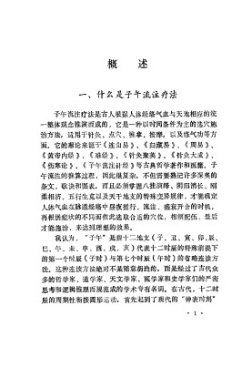 快速子午流注针灸疗法PDF电子书下载 - 中医养生阁中医教学-中医资料-中医医案-中医针灸-古籍珍本-中医基础-中医经典-中医-名家学术-中医男科-疾病专治-经方论治-名族医药-中医方剂-中药本草-中医拔罐-中医刮痧-推拿按摩-中医内科-中西结合-中医妇科-中医皮肤-中医医话-中医外科-中医儿科-中医儿科-海外中医-特色疗法-中医骨伤-中医四诊-中医养生阁