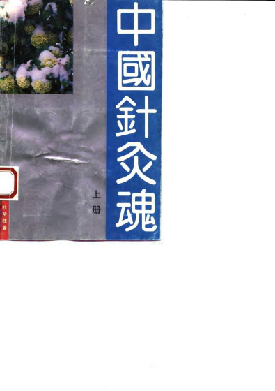 中国针灸魂 (下册)PDF电子书下载 - 中医养生阁中医教学-中医资料-中医医案-中医针灸-古籍珍本-中医基础-中医经典-中医-名家学术-中医男科-疾病专治-经方论治-名族医药-中医方剂-中药本草-中医拔罐-中医刮痧-推拿按摩-中医内科-中西结合-中医妇科-中医皮肤-中医医话-中医外科-中医儿科-中医儿科-海外中医-特色疗法-中医骨伤-中医四诊-中医养生阁