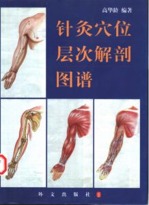 针灸穴位层次解剖图谱PDF电子书下载中医教学-中医资料-中医医案-中医针灸-古籍珍本-中医基础-中医经典-中医-名家学术-中医男科-疾病专治-经方论治-名族医药-中医方剂-中药本草-中医拔罐-中医刮痧-推拿按摩-中医内科-中西结合-中医妇科-中医皮肤-中医医话-中医外科-中医儿科-中医儿科-海外中医-特色疗法-中医骨伤-中医四诊-中医养生阁