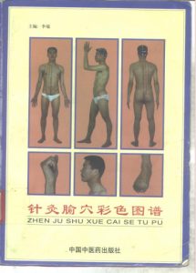 针灸腧穴彩色图谱PDF电子书下载中医教学-中医资料-中医医案-中医针灸-古籍珍本-中医基础-中医经典-中医-名家学术-中医男科-疾病专治-经方论治-名族医药-中医方剂-中药本草-中医拔罐-中医刮痧-推拿按摩-中医内科-中西结合-中医妇科-中医皮肤-中医医话-中医外科-中医儿科-中医儿科-海外中医-特色疗法-中医骨伤-中医四诊-中医养生阁