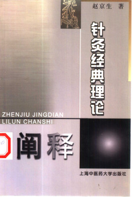 针灸经典理论阐释PDF电子书下载 - 中医养生阁中医教学-中医资料-中医医案-中医针灸-古籍珍本-中医基础-中医经典-中医-名家学术-中医男科-疾病专治-经方论治-名族医药-中医方剂-中药本草-中医拔罐-中医刮痧-推拿按摩-中医内科-中西结合-中医妇科-中医皮肤-中医医话-中医外科-中医儿科-中医儿科-海外中医-特色疗法-中医骨伤-中医四诊-中医养生阁