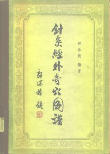 针灸经外奇穴图谱PDF电子书下载中医教学-中医资料-中医医案-中医针灸-古籍珍本-中医基础-中医经典-中医-名家学术-中医男科-疾病专治-经方论治-名族医药-中医方剂-中药本草-中医拔罐-中医刮痧-推拿按摩-中医内科-中西结合-中医妇科-中医皮肤-中医医话-中医外科-中医儿科-中医儿科-海外中医-特色疗法-中医骨伤-中医四诊-中医养生阁