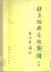针灸经外奇穴图谱续集PDF电子书下载中医教学-中医资料-中医医案-中医针灸-古籍珍本-中医基础-中医经典-中医-名家学术-中医男科-疾病专治-经方论治-名族医药-中医方剂-中药本草-中医拔罐-中医刮痧-推拿按摩-中医内科-中西结合-中医妇科-中医皮肤-中医医话-中医外科-中医儿科-中医儿科-海外中医-特色疗法-中医骨伤-中医四诊-中医养生阁