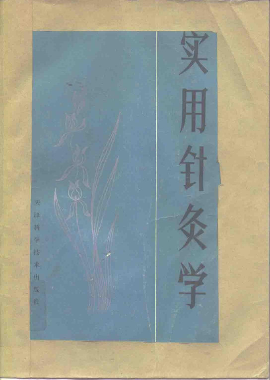 实用针灸学PDF电子书下载 - 中医养生阁中医教学-中医资料-中医医案-中医针灸-古籍珍本-中医基础-中医经典-中医-名家学术-中医男科-疾病专治-经方论治-名族医药-中医方剂-中药本草-中医拔罐-中医刮痧-推拿按摩-中医内科-中西结合-中医妇科-中医皮肤-中医医话-中医外科-中医儿科-中医儿科-海外中医-特色疗法-中医骨伤-中医四诊-中医养生阁
