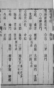 针灸大成  二十二PDF电子书下载中医教学-中医资料-中医医案-中医针灸-古籍珍本-中医基础-中医经典-中医-名家学术-中医男科-疾病专治-经方论治-名族医药-中医方剂-中药本草-中医拔罐-中医刮痧-推拿按摩-中医内科-中西结合-中医妇科-中医皮肤-中医医话-中医外科-中医儿科-中医儿科-海外中医-特色疗法-中医骨伤-中医四诊-中医养生阁