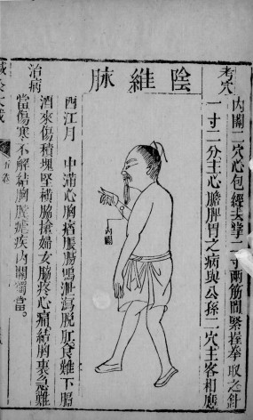 针灸大成 2PDF电子书下载 - 中医养生阁中医教学-中医资料-中医医案-中医针灸-古籍珍本-中医基础-中医经典-中医-名家学术-中医男科-疾病专治-经方论治-名族医药-中医方剂-中药本草-中医拔罐-中医刮痧-推拿按摩-中医内科-中西结合-中医妇科-中医皮肤-中医医话-中医外科-中医儿科-中医儿科-海外中医-特色疗法-中医骨伤-中医四诊-中医养生阁