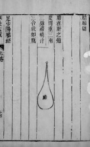 针灸大成 17PDF电子书下载中医教学-中医资料-中医医案-中医针灸-古籍珍本-中医基础-中医经典-中医-名家学术-中医男科-疾病专治-经方论治-名族医药-中医方剂-中药本草-中医拔罐-中医刮痧-推拿按摩-中医内科-中西结合-中医妇科-中医皮肤-中医医话-中医外科-中医儿科-中医儿科-海外中医-特色疗法-中医骨伤-中医四诊-中医养生阁