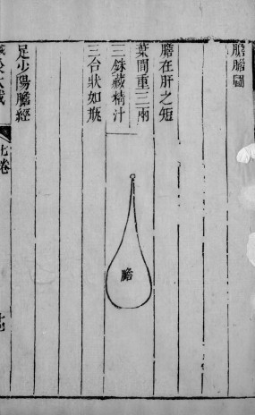 针灸大成 17PDF电子书下载 - 中医养生阁中医教学-中医资料-中医医案-中医针灸-古籍珍本-中医基础-中医经典-中医-名家学术-中医男科-疾病专治-经方论治-名族医药-中医方剂-中药本草-中医拔罐-中医刮痧-推拿按摩-中医内科-中西结合-中医妇科-中医皮肤-中医医话-中医外科-中医儿科-中医儿科-海外中医-特色疗法-中医骨伤-中医四诊-中医养生阁