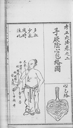 绘图针灸传真PDF电子书下载 - 中医养生阁中医教学-中医资料-中医医案-中医针灸-古籍珍本-中医基础-中医经典-中医-名家学术-中医男科-疾病专治-经方论治-名族医药-中医方剂-中药本草-中医拔罐-中医刮痧-推拿按摩-中医内科-中西结合-中医妇科-中医皮肤-中医医话-中医外科-中医儿科-中医儿科-海外中医-特色疗法-中医骨伤-中医四诊-中医养生阁