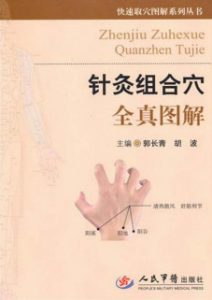 针灸组合穴全真图解PDF电子书下载中医教学-中医资料-中医医案-中医针灸-古籍珍本-中医基础-中医经典-中医-名家学术-中医男科-疾病专治-经方论治-名族医药-中医方剂-中药本草-中医拔罐-中医刮痧-推拿按摩-中医内科-中西结合-中医妇科-中医皮肤-中医医话-中医外科-中医儿科-中医儿科-海外中医-特色疗法-中医骨伤-中医四诊-中医养生阁