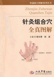 针灸组合穴全真图解PDF电子书下载 - 中医养生阁中医教学-中医资料-中医医案-中医针灸-古籍珍本-中医基础-中医经典-中医-名家学术-中医男科-疾病专治-经方论治-名族医药-中医方剂-中药本草-中医拔罐-中医刮痧-推拿按摩-中医内科-中西结合-中医妇科-中医皮肤-中医医话-中医外科-中医儿科-中医儿科-海外中医-特色疗法-中医骨伤-中医四诊-中医养生阁