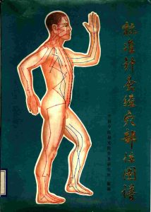 标准针灸经穴部位图谱PDF电子书下载中医教学-中医资料-中医医案-中医针灸-古籍珍本-中医基础-中医经典-中医-名家学术-中医男科-疾病专治-经方论治-名族医药-中医方剂-中药本草-中医拔罐-中医刮痧-推拿按摩-中医内科-中西结合-中医妇科-中医皮肤-中医医话-中医外科-中医儿科-中医儿科-海外中医-特色疗法-中医骨伤-中医四诊-中医养生阁