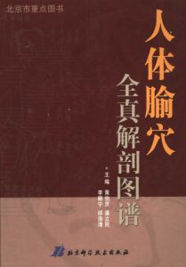 人体腧穴全真解剖图谱PDF电子书下载中医教学-中医资料-中医医案-中医针灸-古籍珍本-中医基础-中医经典-中医-名家学术-中医男科-疾病专治-经方论治-名族医药-中医方剂-中药本草-中医拔罐-中医刮痧-推拿按摩-中医内科-中西结合-中医妇科-中医皮肤-中医医话-中医外科-中医儿科-中医儿科-海外中医-特色疗法-中医骨伤-中医四诊-中医养生阁