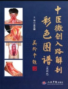 中医微创入路解剖彩色图谱PDF电子书下载中医教学-中医资料-中医医案-中医针灸-古籍珍本-中医基础-中医经典-中医-名家学术-中医男科-疾病专治-经方论治-名族医药-中医方剂-中药本草-中医拔罐-中医刮痧-推拿按摩-中医内科-中西结合-中医妇科-中医皮肤-中医医话-中医外科-中医儿科-中医儿科-海外中医-特色疗法-中医骨伤-中医四诊-中医养生阁