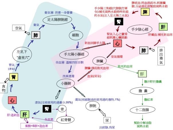 黄成义上课配套书籍等资料PDF电子书下载 - 中医养生阁中医教学-中医资料-中医医案-中医针灸-古籍珍本-中医基础-中医经典-中医-名家学术-中医男科-疾病专治-经方论治-名族医药-中医方剂-中药本草-中医拔罐-中医刮痧-推拿按摩-中医内科-中西结合-中医妇科-中医皮肤-中医医话-中医外科-中医儿科-中医儿科-海外中医-特色疗法-中医骨伤-中医四诊-中医养生阁