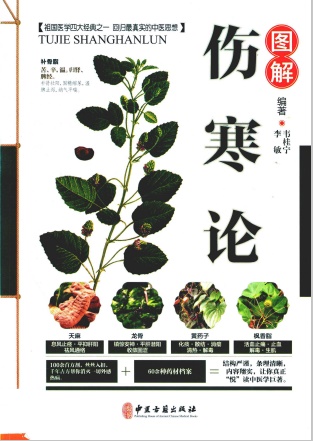 图解伤寒论PDF电子书下载 - 中医养生阁中医教学-中医资料-中医医案-中医针灸-古籍珍本-中医基础-中医经典-中医-名家学术-中医男科-疾病专治-经方论治-名族医药-中医方剂-中药本草-中医拔罐-中医刮痧-推拿按摩-中医内科-中西结合-中医妇科-中医皮肤-中医医话-中医外科-中医儿科-中医儿科-海外中医-特色疗法-中医骨伤-中医四诊-中医养生阁