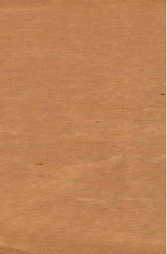 陈修园七十二种 灵素节要浅注 卷5-12 伤寒医诀串解 卷1-6 伤寒真方歌括 卷1-6PDF电子书下载 - 中医养生阁中医教学-中医资料-中医医案-中医针灸-古籍珍本-中医基础-中医经典-中医-名家学术-中医男科-疾病专治-经方论治-名族医药-中医方剂-中药本草-中医拔罐-中医刮痧-推拿按摩-中医内科-中西结合-中医妇科-中医皮肤-中医医话-中医外科-中医儿科-中医儿科-海外中医-特色疗法-中医骨伤-中医四诊-中医养生阁