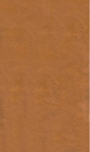 伤寒恒论 卷9-10PDF电子书下载 - 中医养生阁中医教学-中医资料-中医医案-中医针灸-古籍珍本-中医基础-中医经典-中医-名家学术-中医男科-疾病专治-经方论治-名族医药-中医方剂-中药本草-中医拔罐-中医刮痧-推拿按摩-中医内科-中西结合-中医妇科-中医皮肤-中医医话-中医外科-中医儿科-中医儿科-海外中医-特色疗法-中医骨伤-中医四诊-中医养生阁