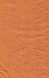 伤寒补亡论 卷一—卷五PDF电子书下载中医教学-中医资料-中医医案-中医针灸-古籍珍本-中医基础-中医经典-中医-名家学术-中医男科-疾病专治-经方论治-名族医药-中医方剂-中药本草-中医拔罐-中医刮痧-推拿按摩-中医内科-中西结合-中医妇科-中医皮肤-中医医话-中医外科-中医儿科-中医儿科-海外中医-特色疗法-中医骨伤-中医四诊-中医养生阁