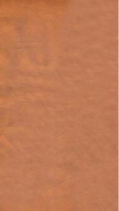 伤寒补亡论 卷六—卷十PDF电子书下载中医教学-中医资料-中医医案-中医针灸-古籍珍本-中医基础-中医经典-中医-名家学术-中医男科-疾病专治-经方论治-名族医药-中医方剂-中药本草-中医拔罐-中医刮痧-推拿按摩-中医内科-中西结合-中医妇科-中医皮肤-中医医话-中医外科-中医儿科-中医儿科-海外中医-特色疗法-中医骨伤-中医四诊-中医养生阁