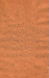 伤寒补亡论 卷十六—卷二十PDF电子书下载中医教学-中医资料-中医医案-中医针灸-古籍珍本-中医基础-中医经典-中医-名家学术-中医男科-疾病专治-经方论治-名族医药-中医方剂-中药本草-中医拔罐-中医刮痧-推拿按摩-中医内科-中西结合-中医妇科-中医皮肤-中医医话-中医外科-中医儿科-中医儿科-海外中医-特色疗法-中医骨伤-中医四诊-中医养生阁