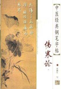 中医经典钢笔字帖 伤寒论PDF电子书下载中医教学-中医资料-中医医案-中医针灸-古籍珍本-中医基础-中医经典-中医-名家学术-中医男科-疾病专治-经方论治-名族医药-中医方剂-中药本草-中医拔罐-中医刮痧-推拿按摩-中医内科-中西结合-中医妇科-中医皮肤-中医医话-中医外科-中医儿科-中医儿科-海外中医-特色疗法-中医骨伤-中医四诊-中医养生阁