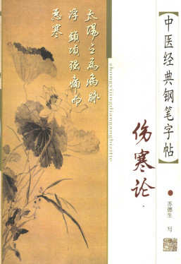 中医经典钢笔字帖 伤寒论PDF电子书下载 - 中医养生阁中医教学-中医资料-中医医案-中医针灸-古籍珍本-中医基础-中医经典-中医-名家学术-中医男科-疾病专治-经方论治-名族医药-中医方剂-中药本草-中医拔罐-中医刮痧-推拿按摩-中医内科-中西结合-中医妇科-中医皮肤-中医医话-中医外科-中医儿科-中医儿科-海外中医-特色疗法-中医骨伤-中医四诊-中医养生阁