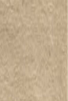 东医宝内经篇卷之二上PDF电子书下载 - 中医养生阁中医教学-中医资料-中医医案-中医针灸-古籍珍本-中医基础-中医经典-中医-名家学术-中医男科-疾病专治-经方论治-名族医药-中医方剂-中药本草-中医拔罐-中医刮痧-推拿按摩-中医内科-中西结合-中医妇科-中医皮肤-中医医话-中医外科-中医儿科-中医儿科-海外中医-特色疗法-中医骨伤-中医四诊-中医养生阁