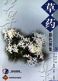 草药彩色图集 三PDF电子书下载中医教学-中医资料-中医医案-中医针灸-古籍珍本-中医基础-中医经典-中医-名家学术-中医男科-疾病专治-经方论治-名族医药-中医方剂-中药本草-中医拔罐-中医刮痧-推拿按摩-中医内科-中西结合-中医妇科-中医皮肤-中医医话-中医外科-中医儿科-中医儿科-海外中医-特色疗法-中医骨伤-中医四诊-中医养生阁